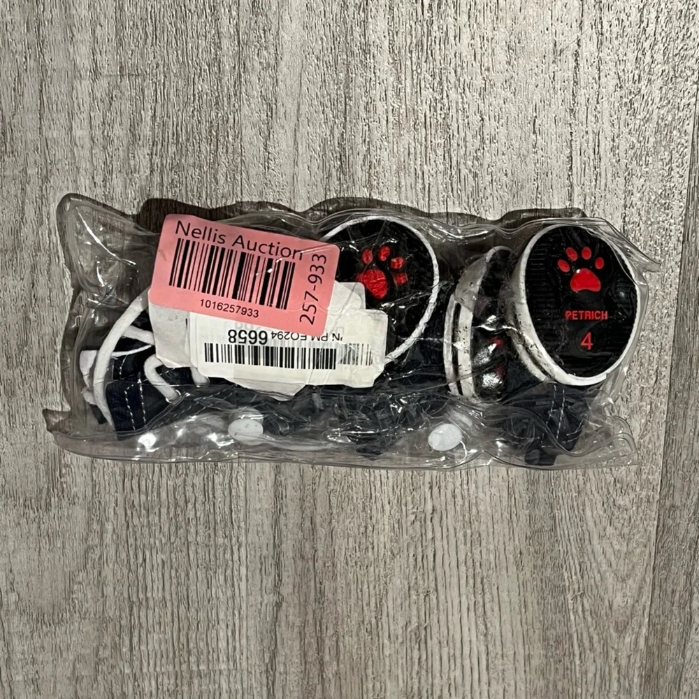 Cat shoes “converse style”